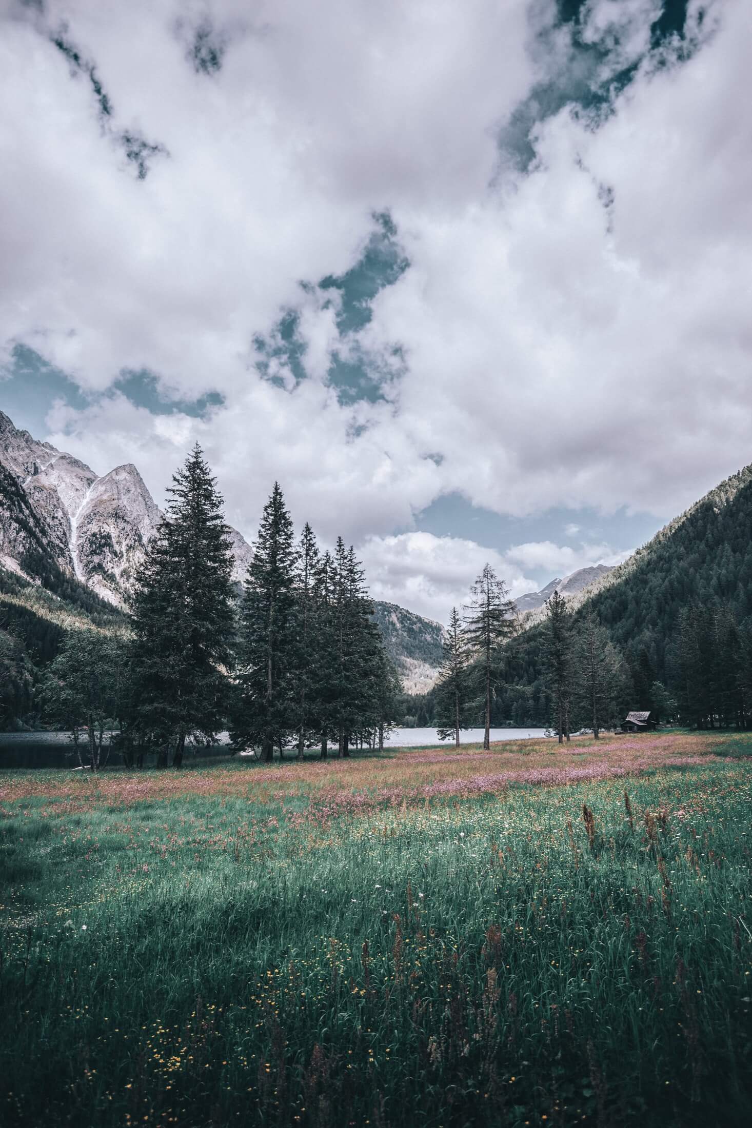 Exploring Grindelwald’s Rich History